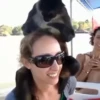 cute monkeys 12