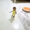 cute monkeys 13