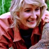 Jurassic Park 15