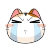 GATITO EMOJI 10