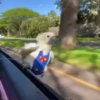 videopopuga 10