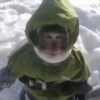 cute monkeys 14