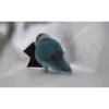 videopopuga 11