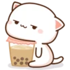 mochi peach cats 17