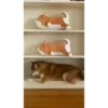 Shiba Inu Videos 17