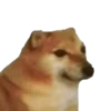 memes 12