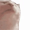 memes 14