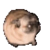 memes 15
