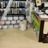 Videopack 16