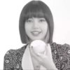 lisa 13