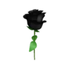Flowers 2 15