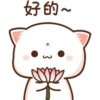 mochi peach cats 18