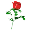 Flowers 2 16