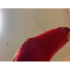 videopopuga 20