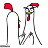 Stickers Chicken Bro 2 11