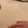 videopopuga 21