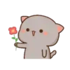 Mochi 22
