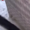 cute monkeys 22