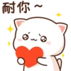 mochi peach cats 27