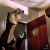 Jurassic Park 26