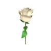 Flowers 2 23