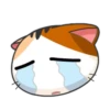 GATITO EMOJI 27