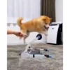 Shiba Inu Videos 29