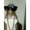 Monos cool @elvalledelassombras :: @fStikBot 29