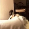 котики длR котRт х2 :: @fStikBot 30