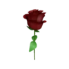 Flowers 2 24