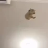 kitty'їs 30