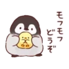 Soft and cute chick 6
