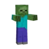 Minecraft 5