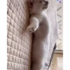 kkkkiiitttyyy :: @fStikBot 6