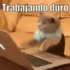 Cats🐱⛧2🇪🇸Movi 7