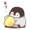 Soft and cute chick 7