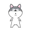 Hyper Dog 10