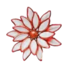 Flowers🌼🌺⛧1🇪🇸Movi 11