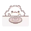 Pomeranian Mochi 6