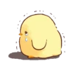 Soft and cute chick 9