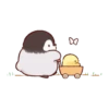 Soft and cute chick 10