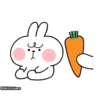 Spoiled Rabbit Feelings Animation 5