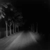 Horror 7