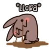 Coffee Rabbit Mov 7
