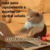 Cats🐱⛧2🇪🇸Movi 11