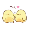 Soft and cute chick 12