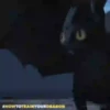 Dragon How🐲⛧1🇪🇸Movi 11