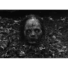 Horror 12