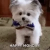 Monday 13