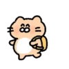Dog egg cat cat 5